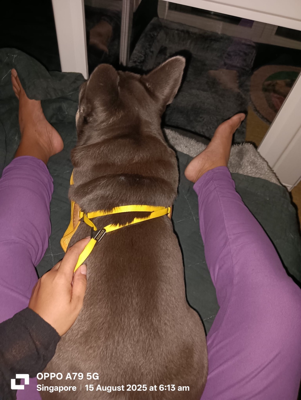 The body-leash sleep setup.