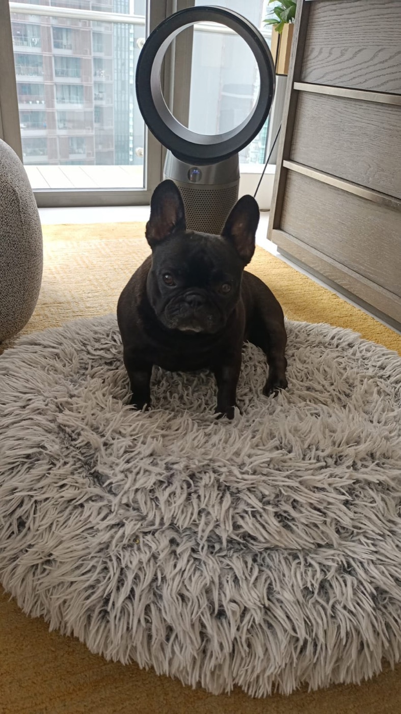Juju in conservative recovery, the playpen weeks.